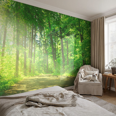 Mural de pared con estampado hermoso con motivo de sendero forestal