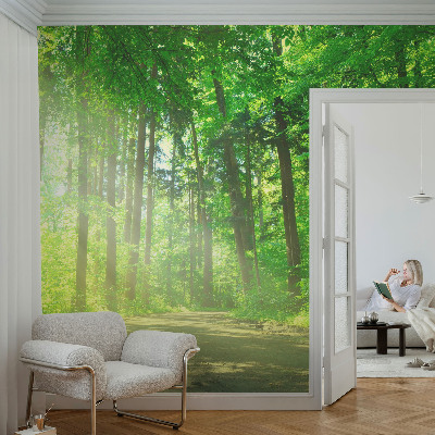 Mural de pared con estampado hermoso con motivo de sendero forestal