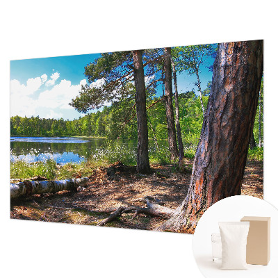 Papel mural texturado decorativo con motivo de paisaje forestal