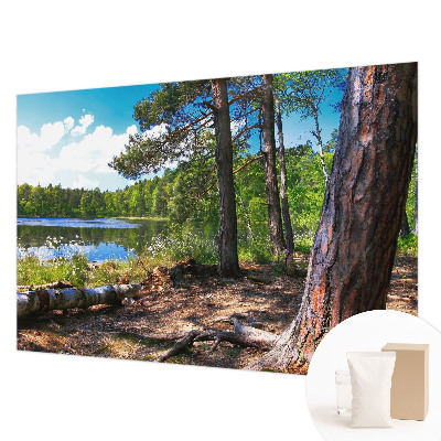 Papel mural texturado decorativo con motivo de paisaje forestal