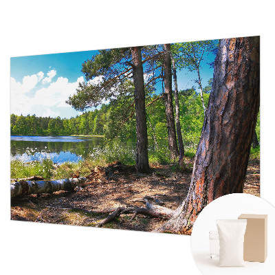 Papel mural texturado decorativo con motivo de paisaje forestal