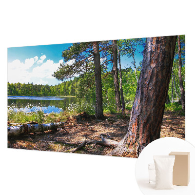 Papel mural texturado decorativo con motivo de paisaje forestal