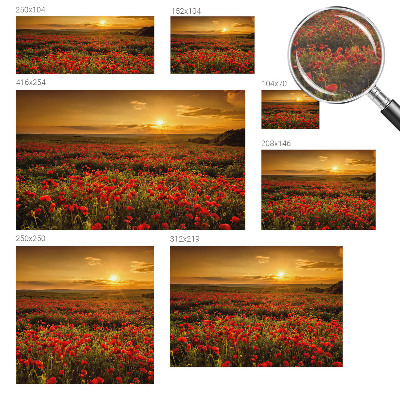 Fotomural decorativo para cabecero de cama con diseño de campo de amapolas