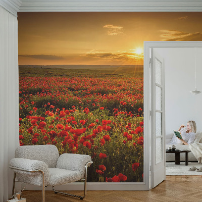 Fotomural decorativo para cabecero de cama con diseño de campo de amapolas