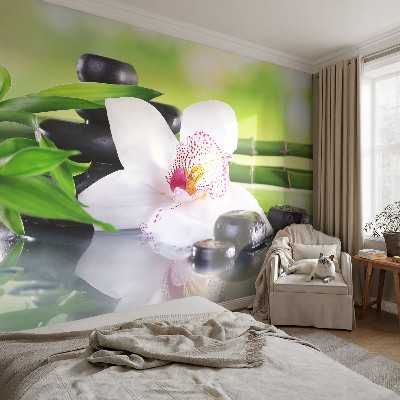 Papel mural con patrón decorativo con diseño 