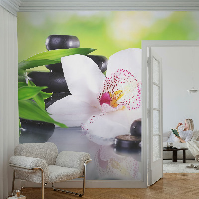 Papel mural con patrón decorativo con diseño 