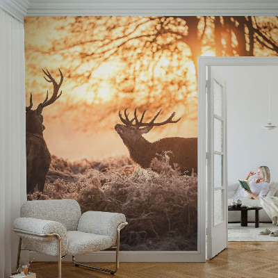 Papel mural con patrón decorativo con diseño de ciervos por la mañana