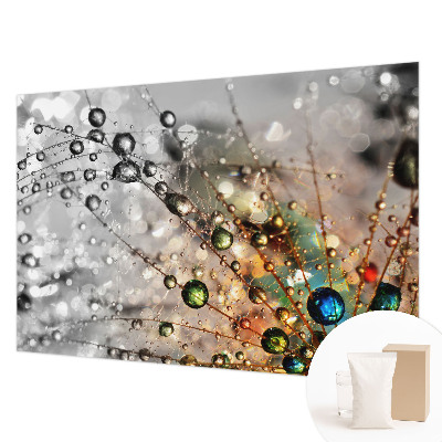 Mural decorativo con motivo 'Yo rocío joyas' para decoración de paredes