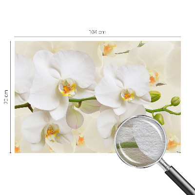 Fotomural decorativo para cabecero de cama con un motivo de riqueza floral