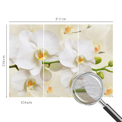 Fotomural decorativo para cabecero de cama con un motivo de riqueza floral