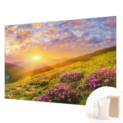 Mural de pared con estampado hermoso con motivo de montaña del oeste