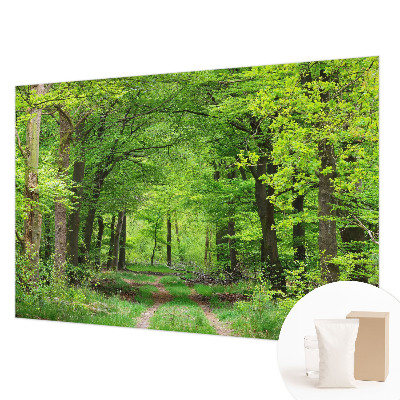 Papel mural texturado decorativo con diseño de sendero forestal