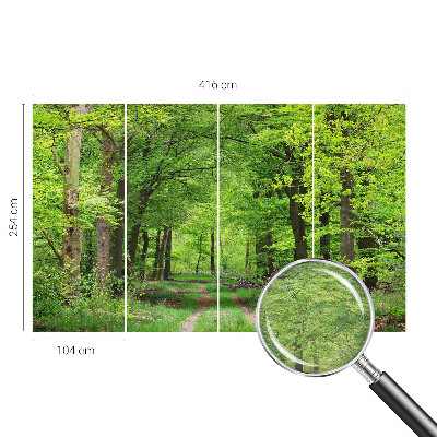 Papel mural texturado decorativo con diseño de sendero forestal