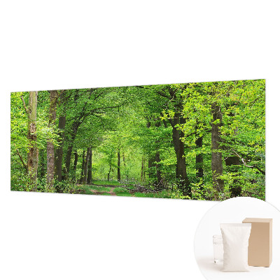 Papel mural texturado decorativo con diseño de sendero forestal