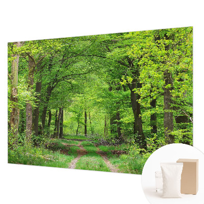 Papel mural texturado decorativo con diseño de sendero forestal