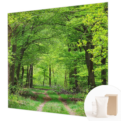 Papel mural texturado decorativo con diseño de sendero forestal