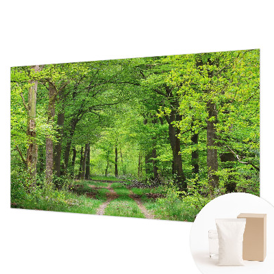 Papel mural texturado decorativo con diseño de sendero forestal