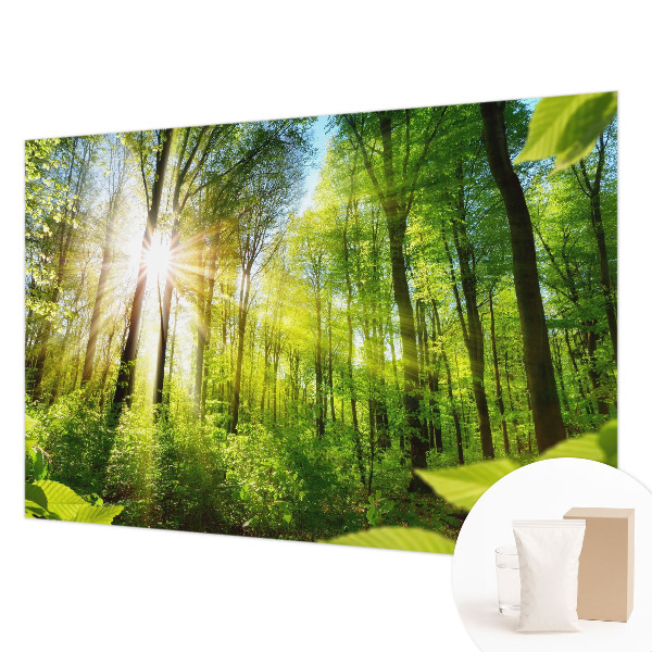 Mural decorativo con diseño 'Luz del bosque'