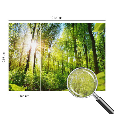 Mural decorativo con diseño 'Luz del bosque'