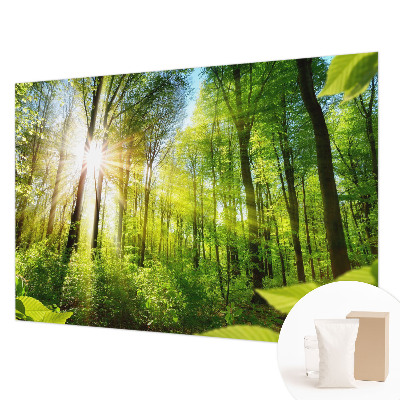 Mural decorativo con diseño 'Luz del bosque'