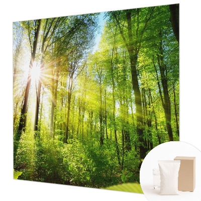 Mural decorativo con diseño 'Luz del bosque'