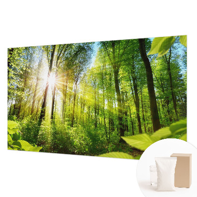 Mural decorativo con diseño 'Luz del bosque'