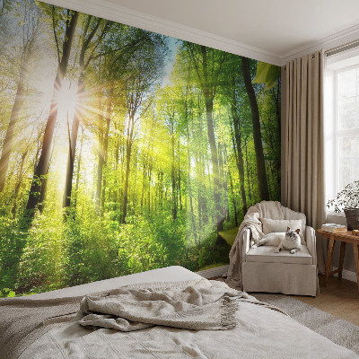 Mural decorativo con diseño 'Luz del bosque'