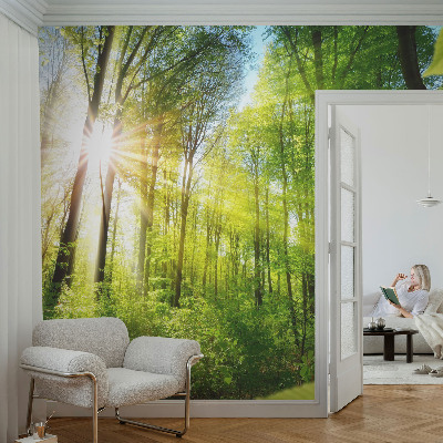 Mural decorativo con diseño 'Luz del bosque'