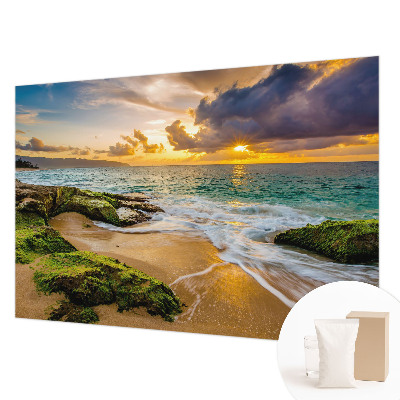 Mural decorativo con diseño 'Armonía marítima' inspirado en motivos marinos