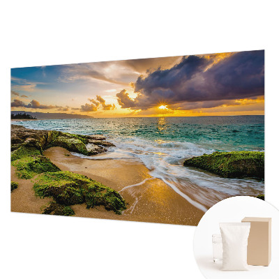 Mural decorativo con diseño 'Armonía marítima' inspirado en motivos marinos