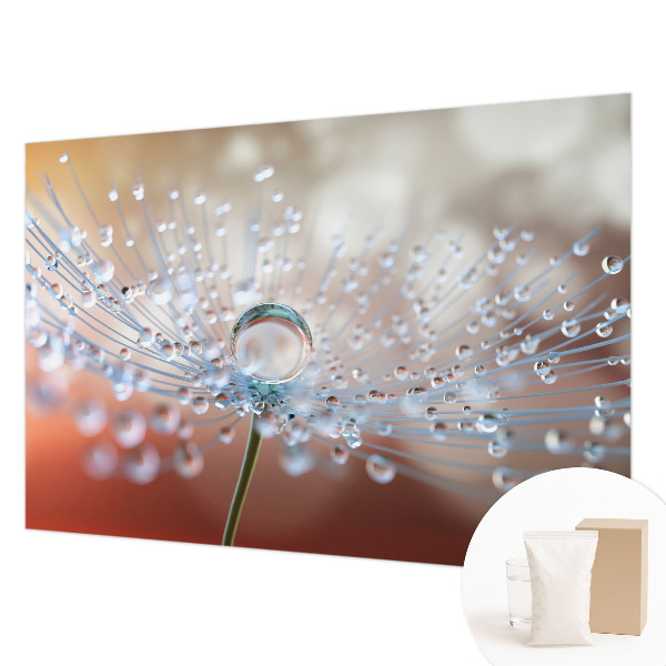 Fotomural decorativo para cabecero de cama con el motivo de una gota sobre un diente de león