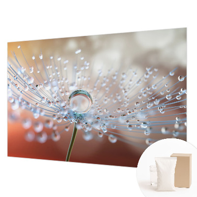 Fotomural decorativo para cabecero de cama con el motivo de una gota sobre un diente de león