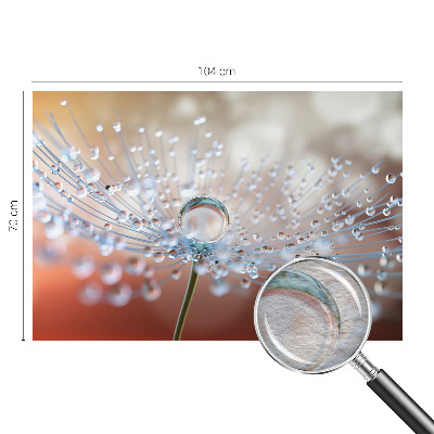 Fotomural decorativo para cabecero de cama con el motivo de una gota sobre un diente de león