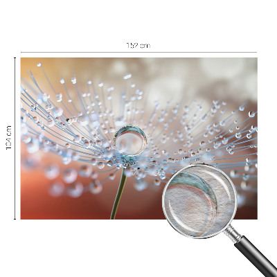 Fotomural decorativo para cabecero de cama con el motivo de una gota sobre un diente de león