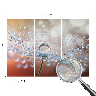 Fotomural decorativo para cabecero de cama con el motivo de una gota sobre un diente de león