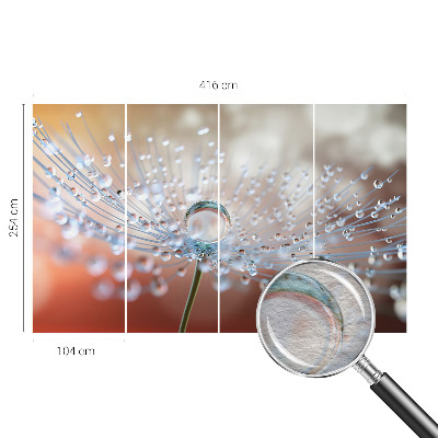 Fotomural decorativo para cabecero de cama con el motivo de una gota sobre un diente de león