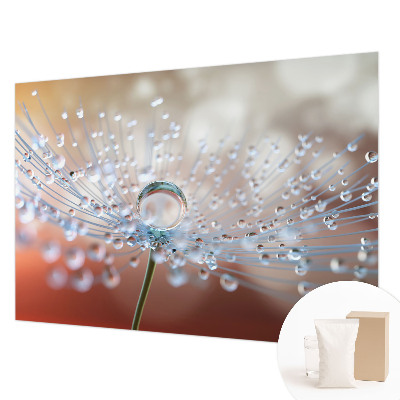 Fotomural decorativo para cabecero de cama con el motivo de una gota sobre un diente de león