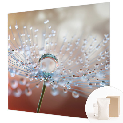 Fotomural decorativo para cabecero de cama con el motivo de una gota sobre un diente de león