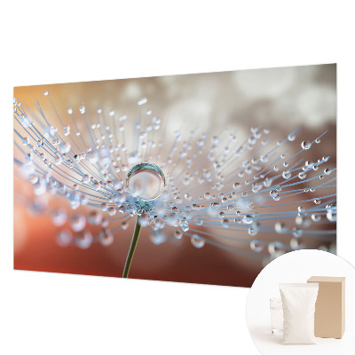 Fotomural decorativo para cabecero de cama con el motivo de una gota sobre un diente de león