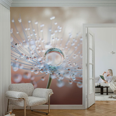 Fotomural decorativo para cabecero de cama con el motivo de una gota sobre un diente de león