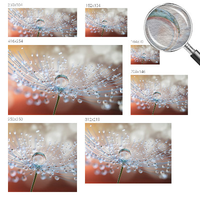 Fotomural decorativo para cabecero de cama con el motivo de una gota sobre un diente de león