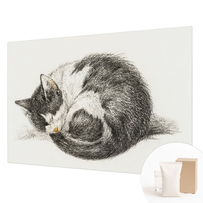 Papel mural con patrón decorativo con un diseño de gatito adorable