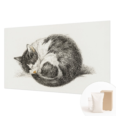 Papel mural con patrón decorativo con un diseño de gatito adorable