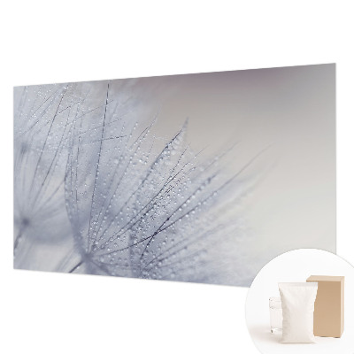 Mural de pared con estampado hermoso con un diente de león cubierto de rocío