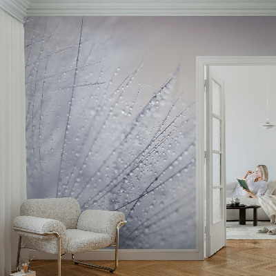 Mural de pared con estampado hermoso con un diente de león cubierto de rocío