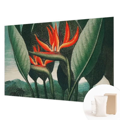 Fotomural decorativo para cabecero de cama con diseño de flores exóticas