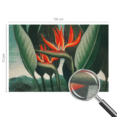 Fotomural decorativo para cabecero de cama con diseño de flores exóticas
