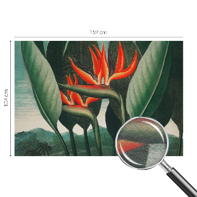 Fotomural decorativo para cabecero de cama con diseño de flores exóticas