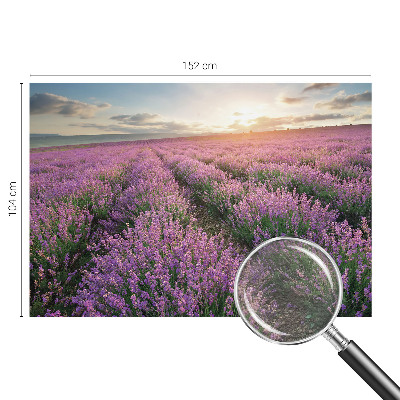 Mural decorativo con motivo de campos de lavanda