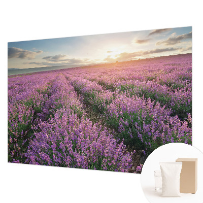 Mural decorativo con motivo de campos de lavanda